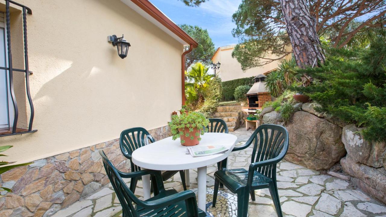 Crisantemo Villa